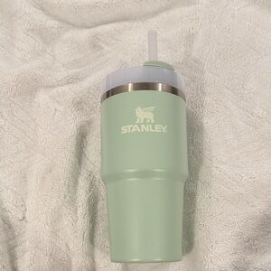 Stanley Pastel Green Travel Cup with Straw
